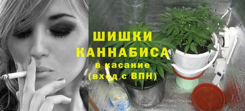 MEGA как зайти  Ардон  Шишки марихуана тримм  где купить наркоту 